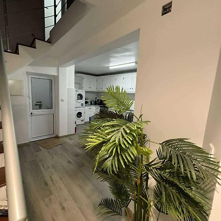 Maia  Alvarenga House מראה חיצוני תמונה