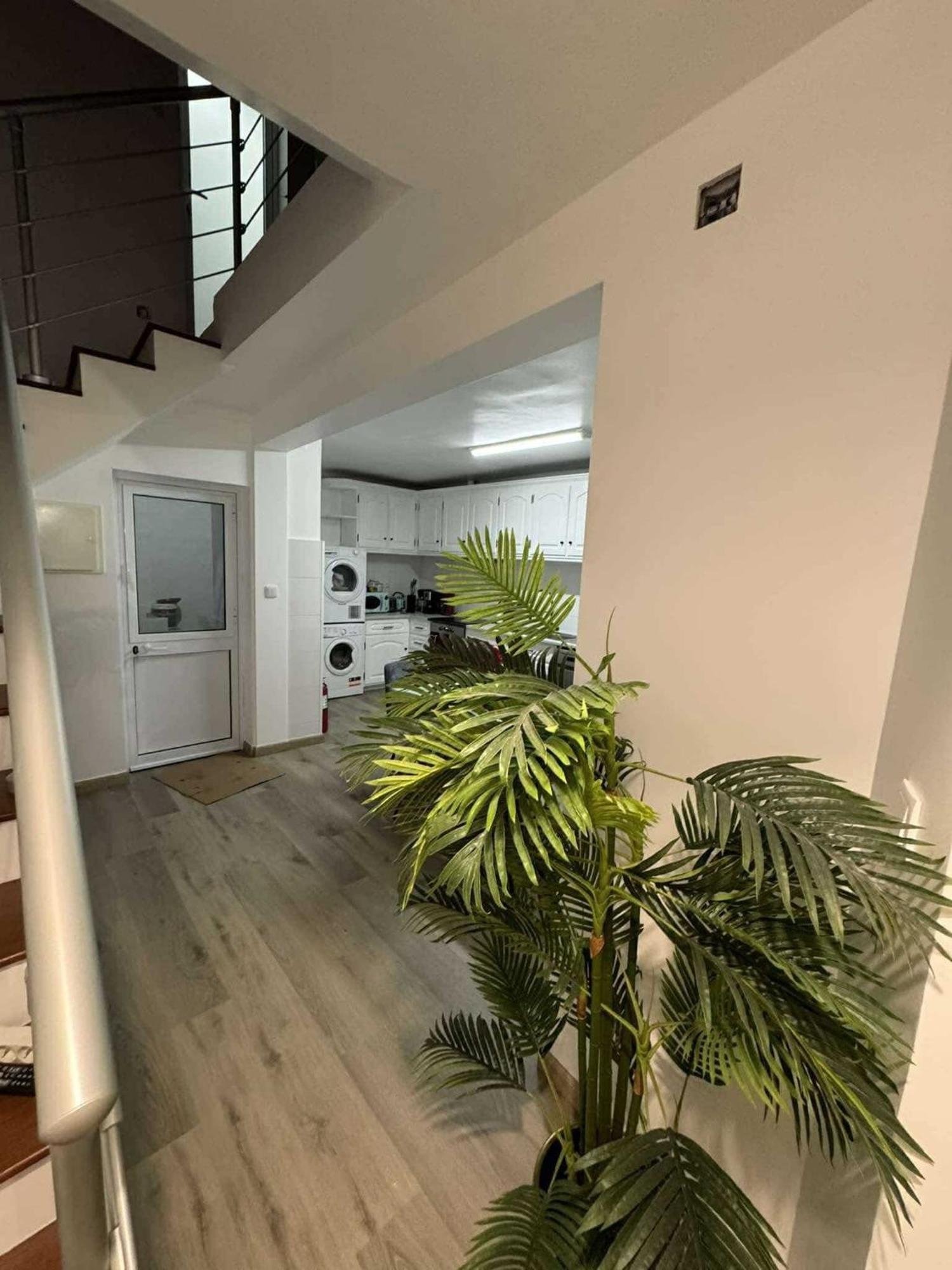 Maia  Alvarenga House מראה חיצוני תמונה